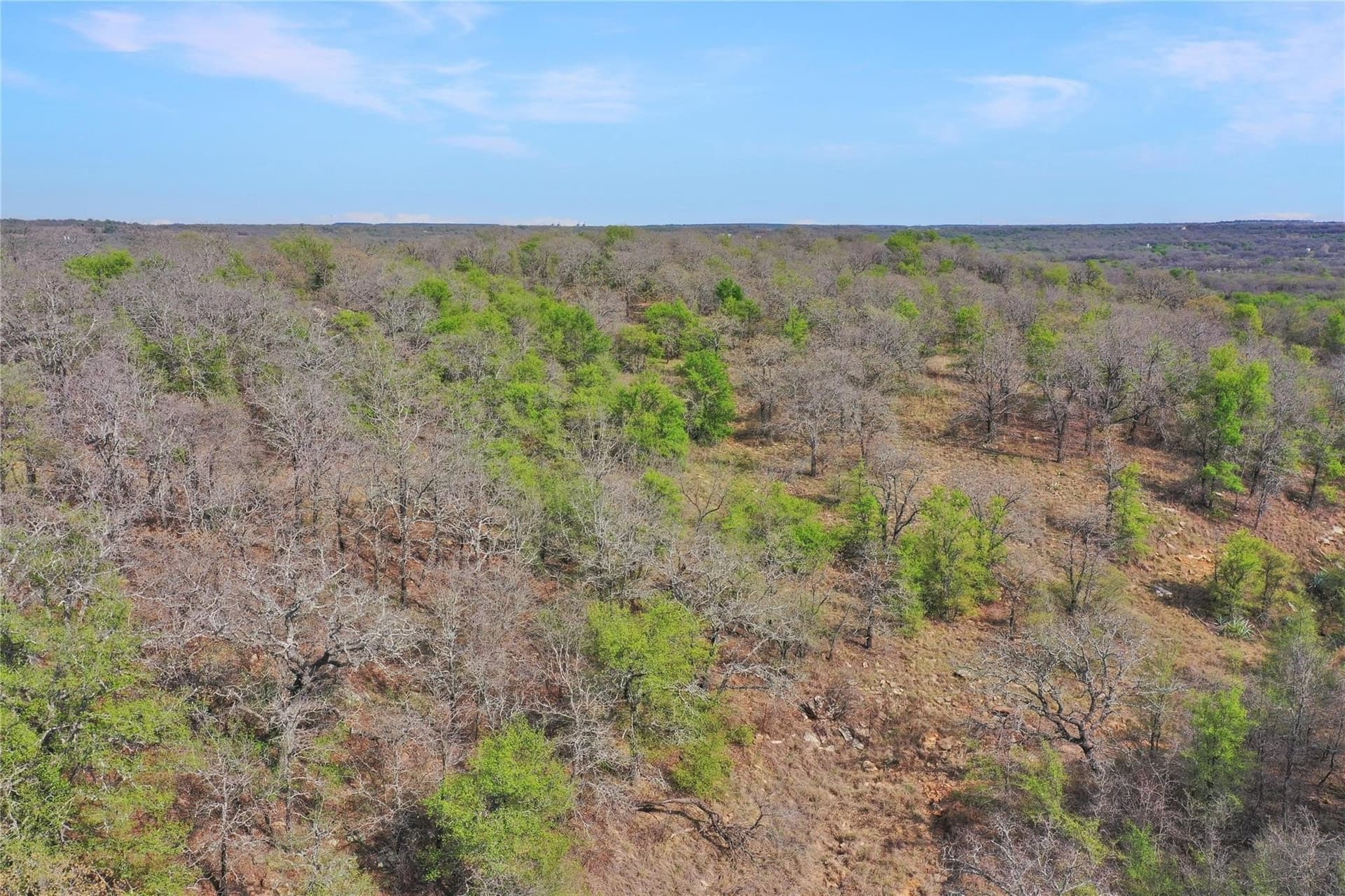 12.4 acres in Jack County - photo 5
