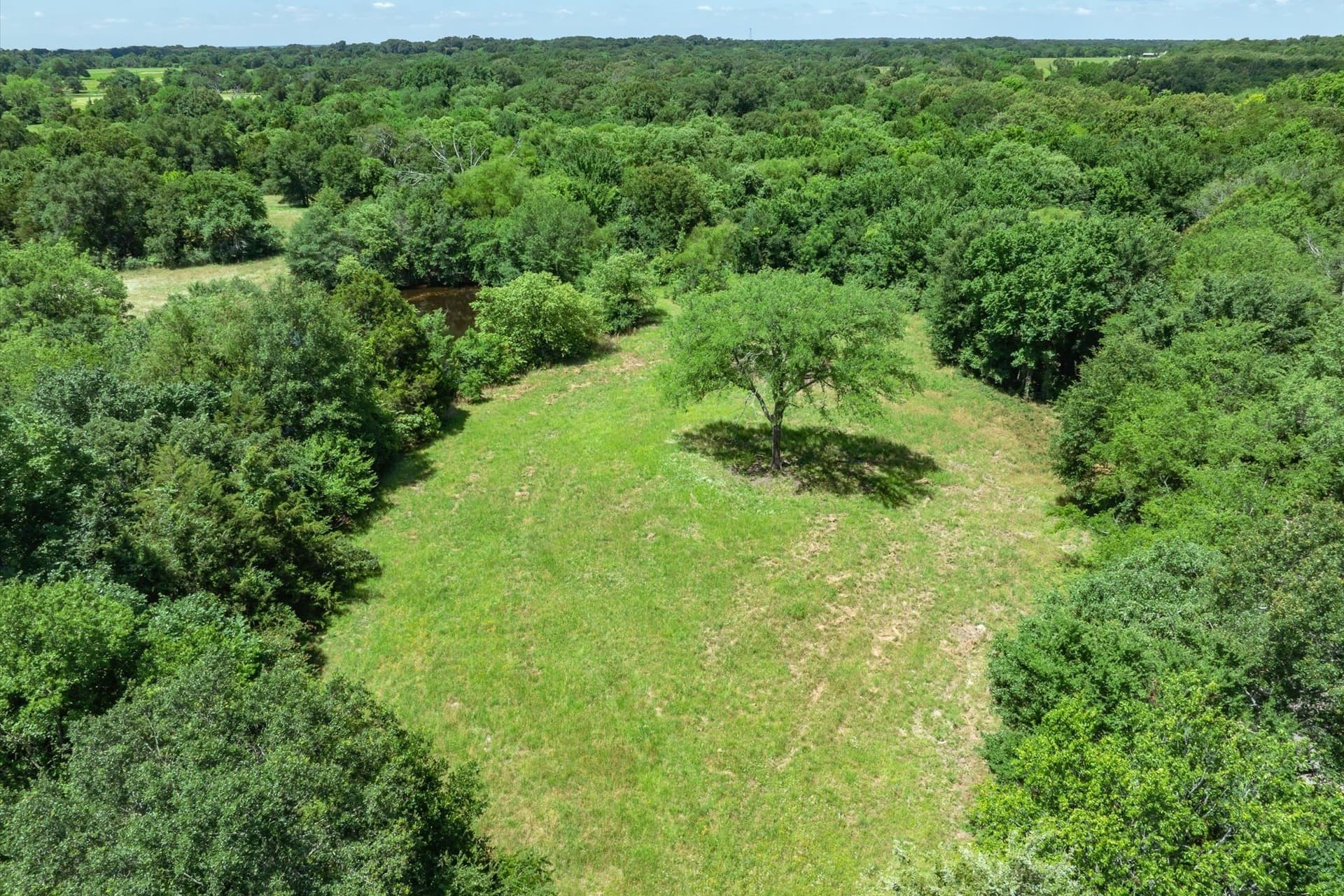 2.47 acres in Rains County - photo 8