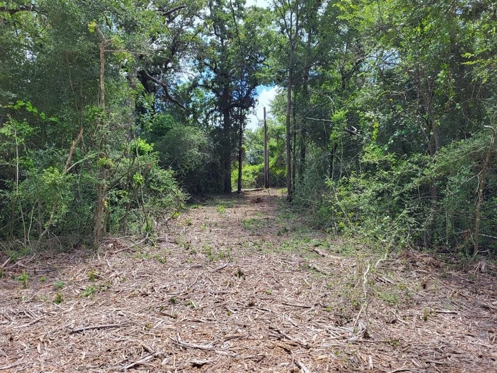 1.25 acres in Limestone County gallery image 3