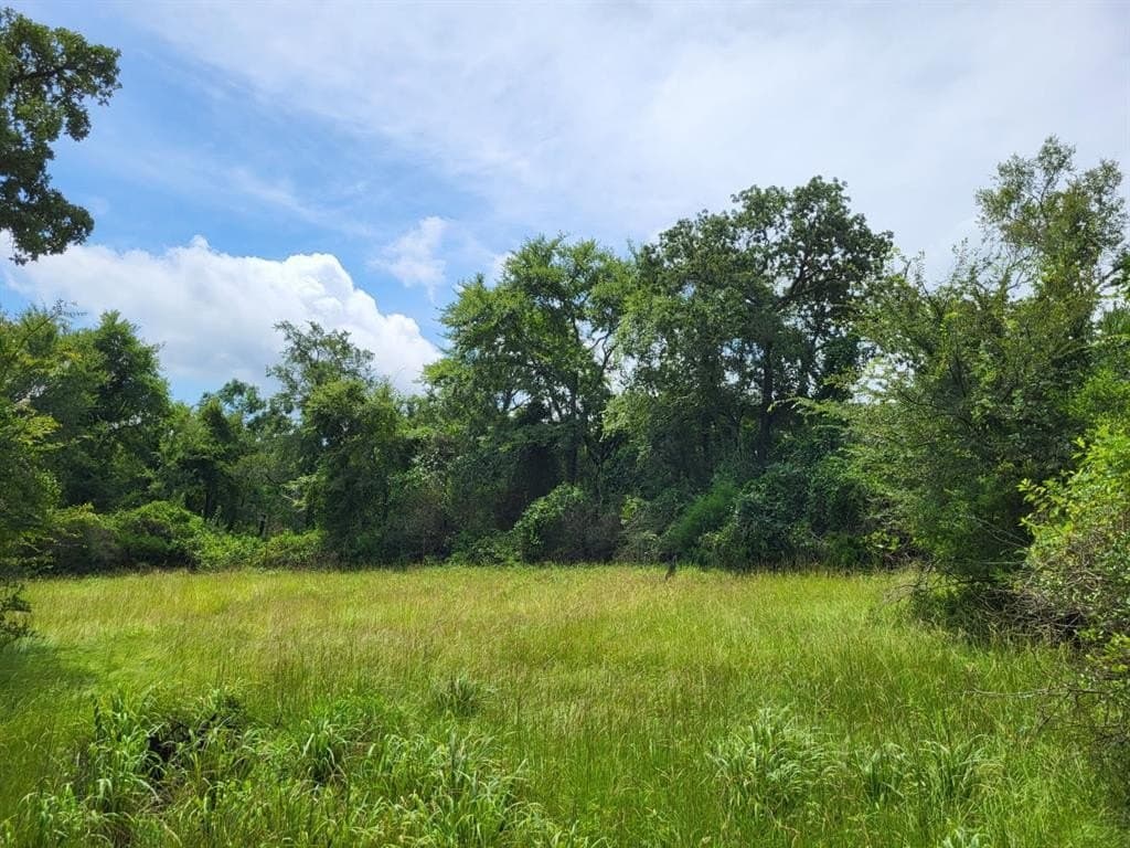 1.25 acres in Limestone County