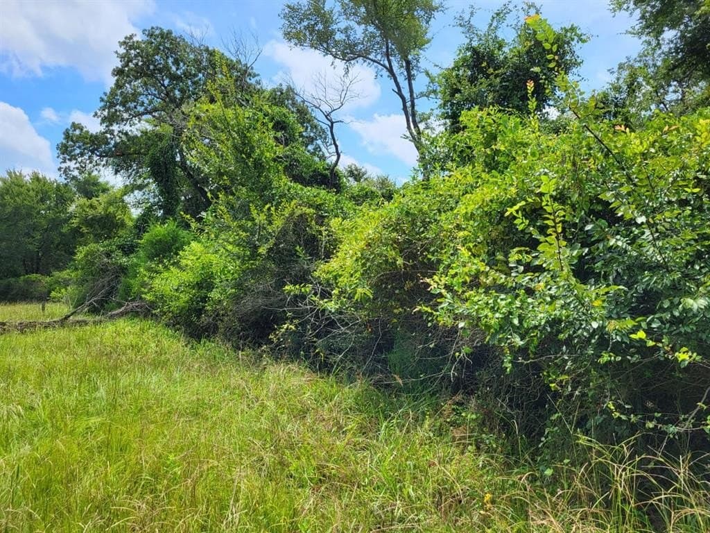 1.25 acres in Limestone County gallery image 2