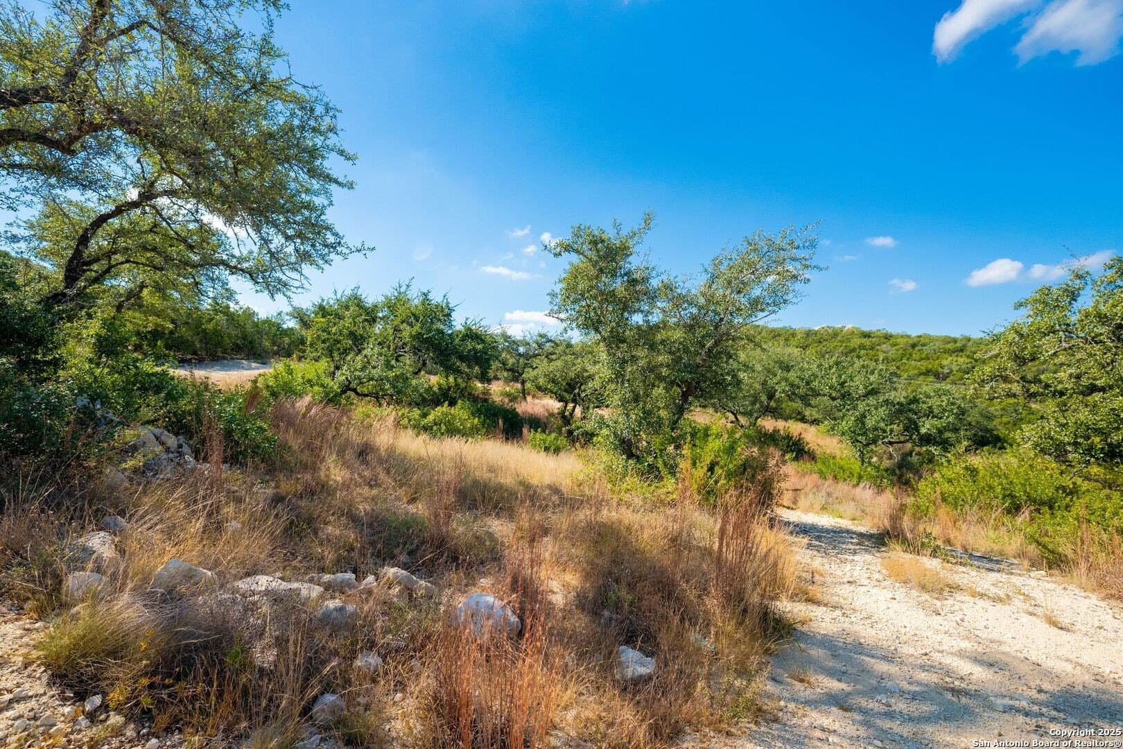 0.96 acres in Bexar County - photo 17