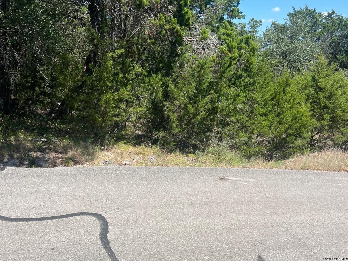 2.1 acres in Bexar County - photo 5