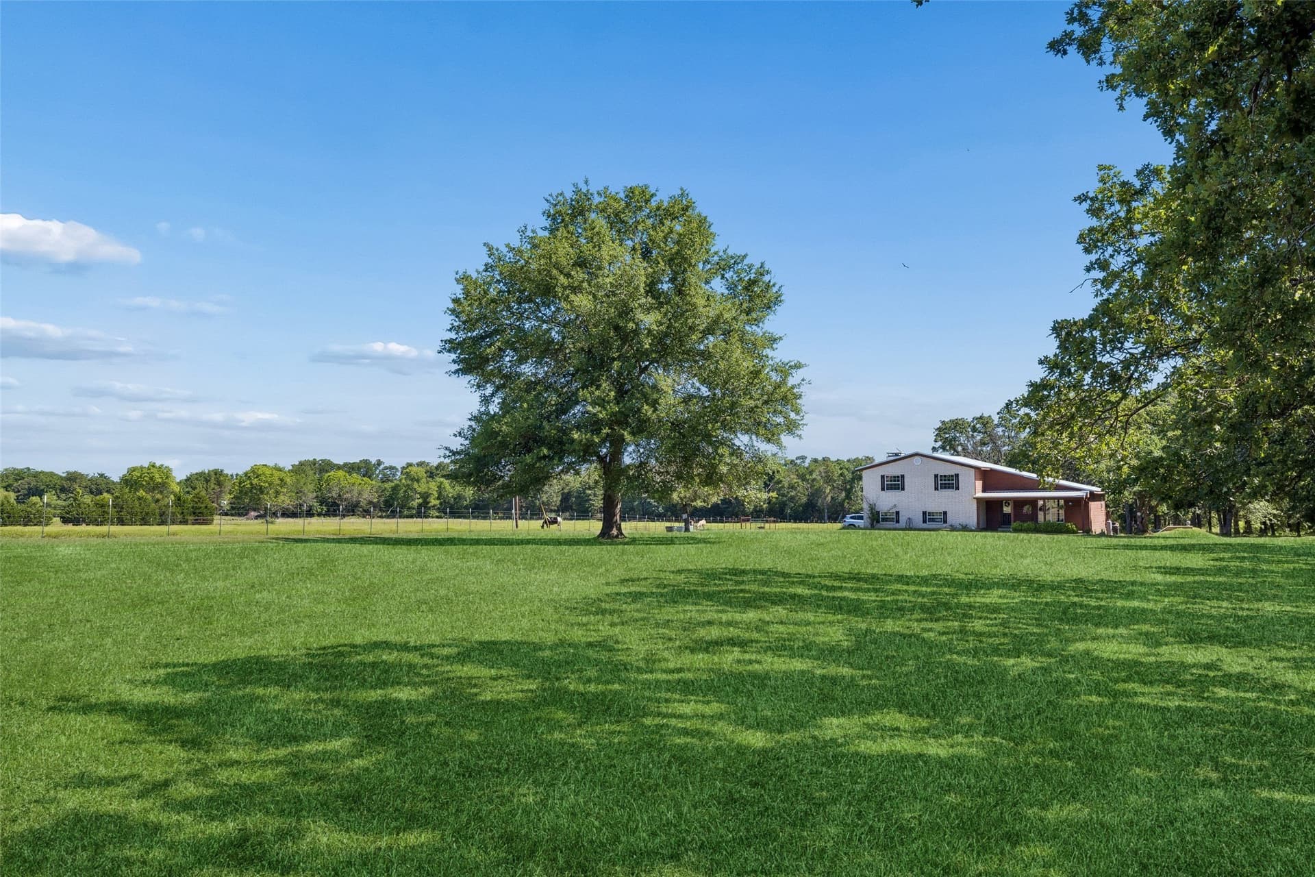 8.98 acres in Van Zandt County gallery image 3