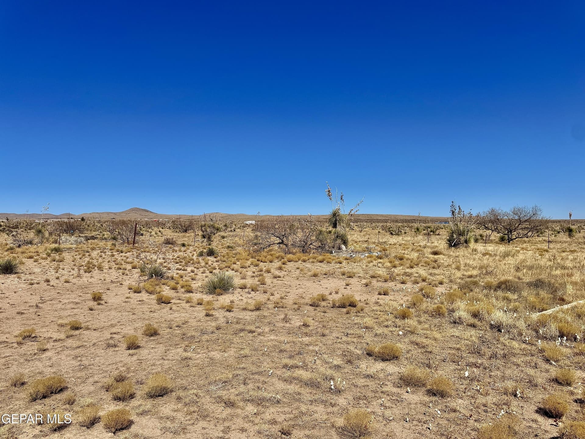 10.45 acres in El Paso County gallery image 3