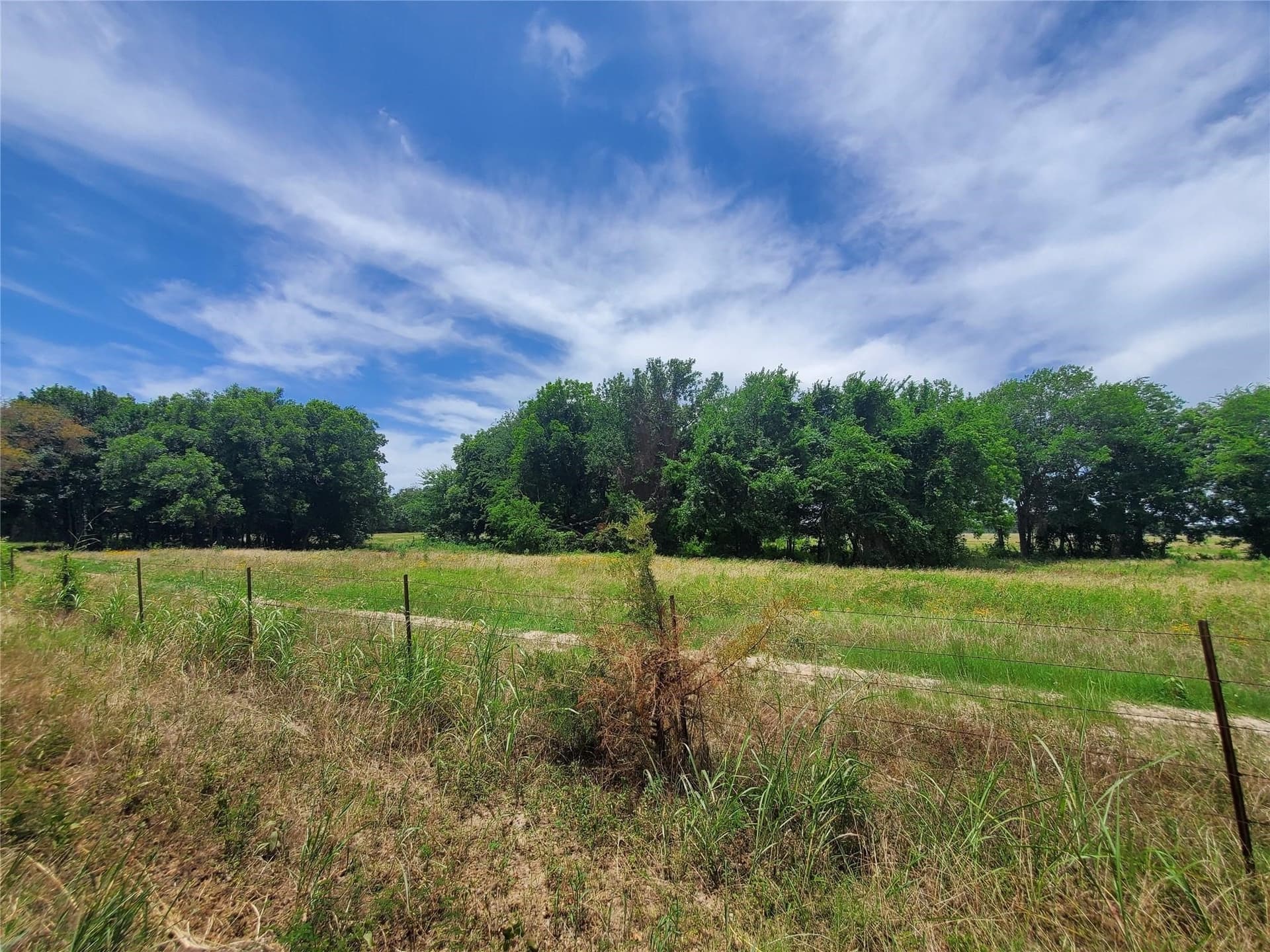 10.01 acres in Hopkins County gallery image 3