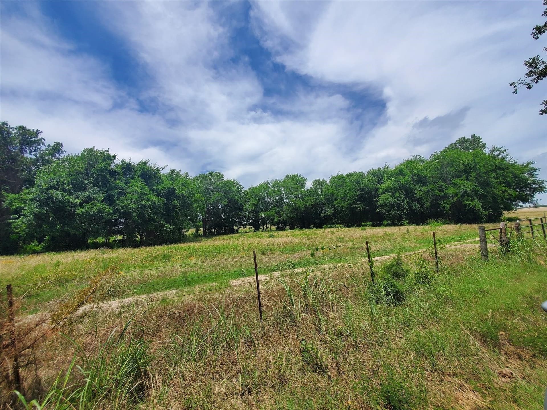 10.01 acres in Hopkins County gallery image 2