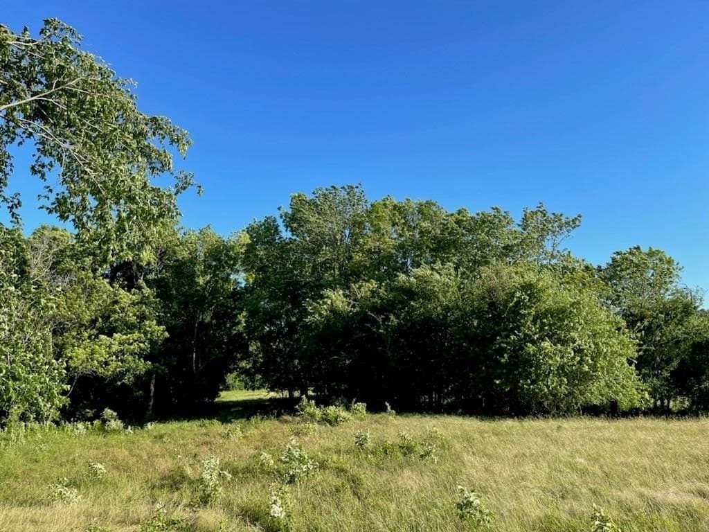10.01 acres in Hopkins County gallery image 4