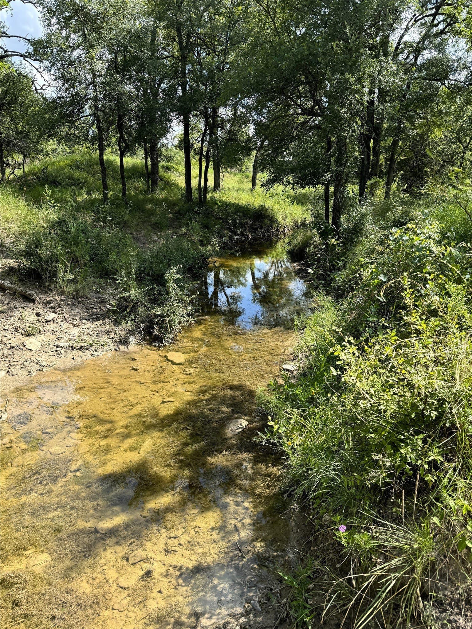 25.05 acres in Comanche County