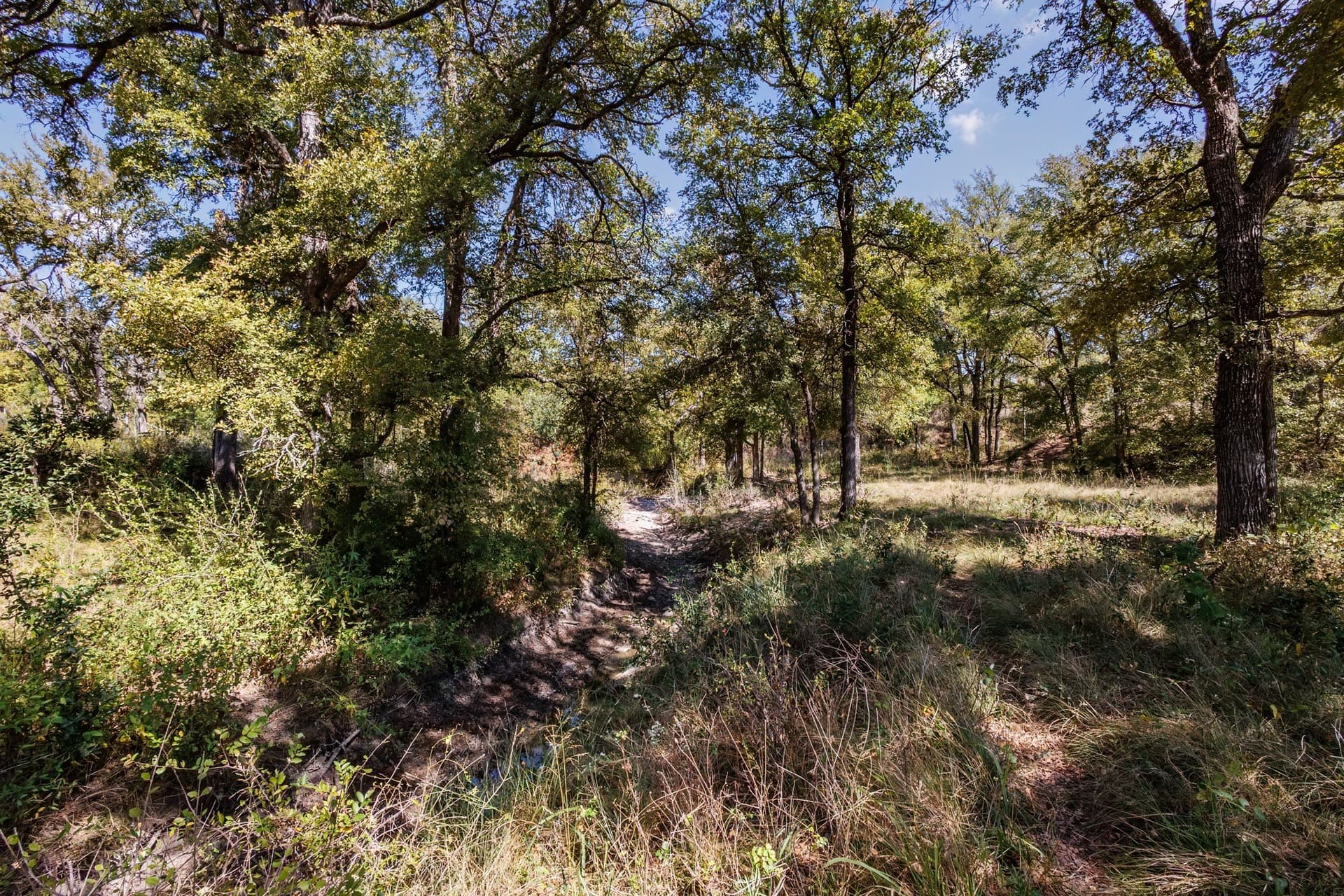 25.05 acres in Comanche County - photo 22