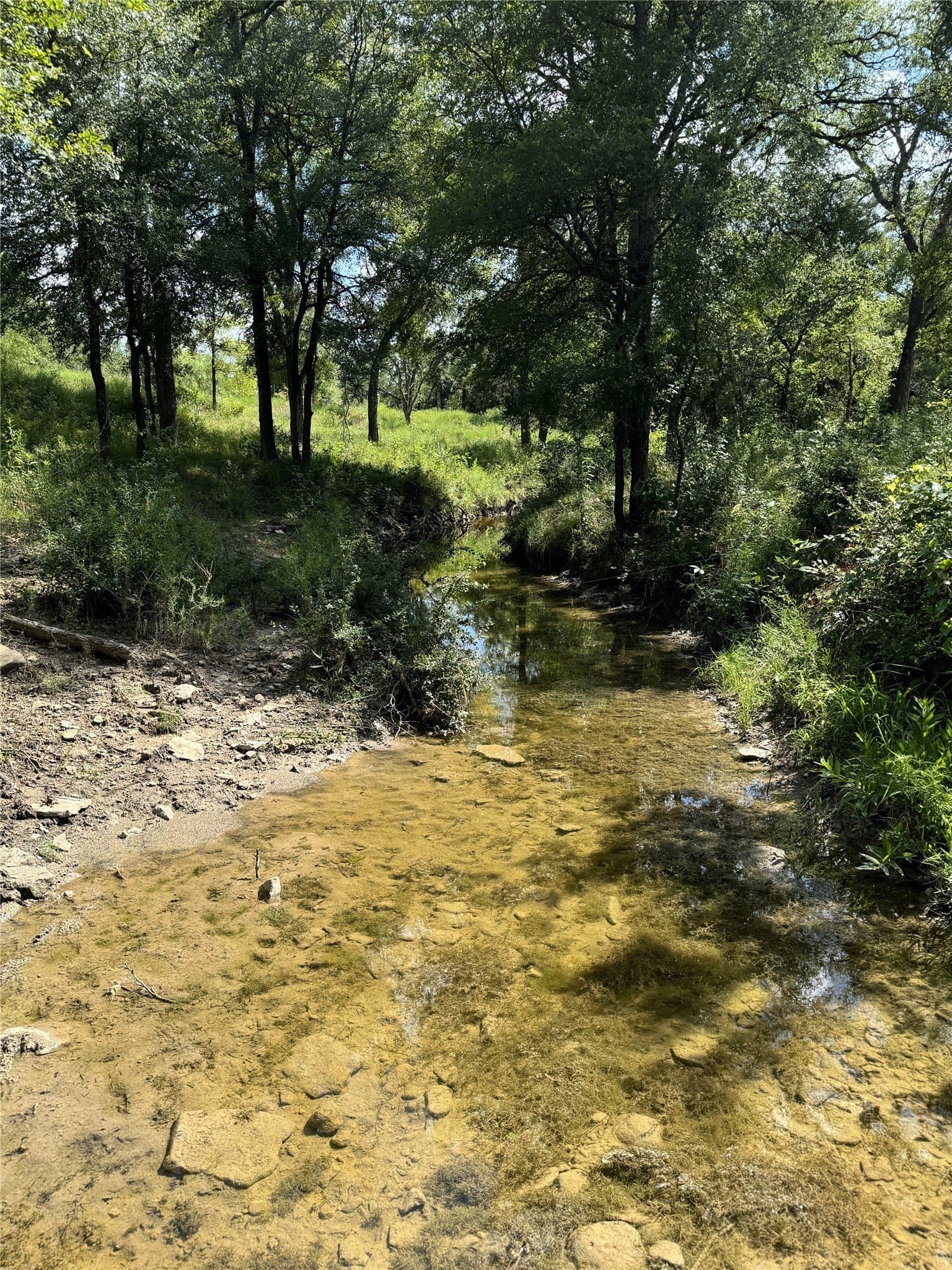 25.05 acres in Comanche County - photo 24