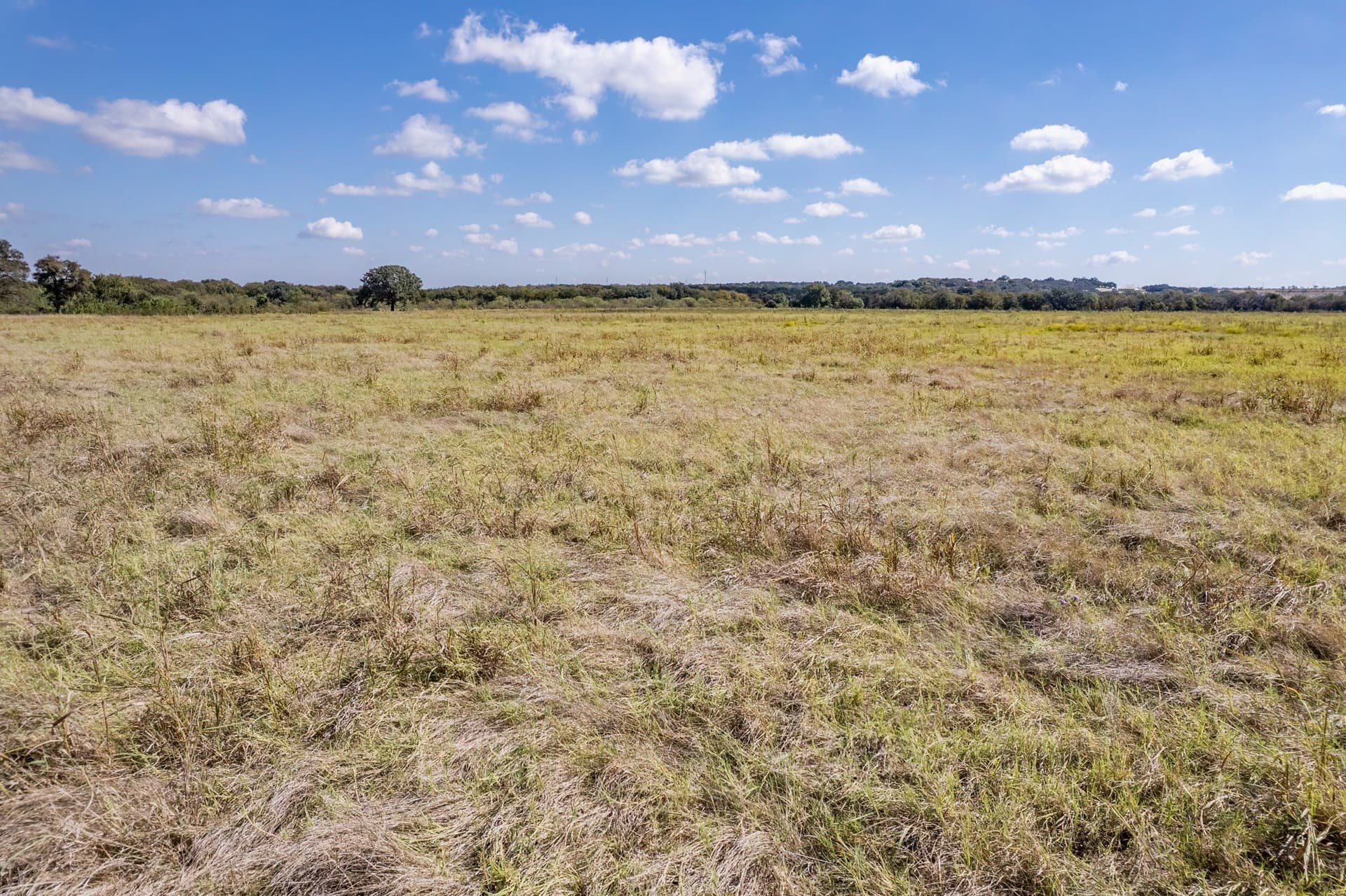 25.05 acres in Comanche County - photo 2