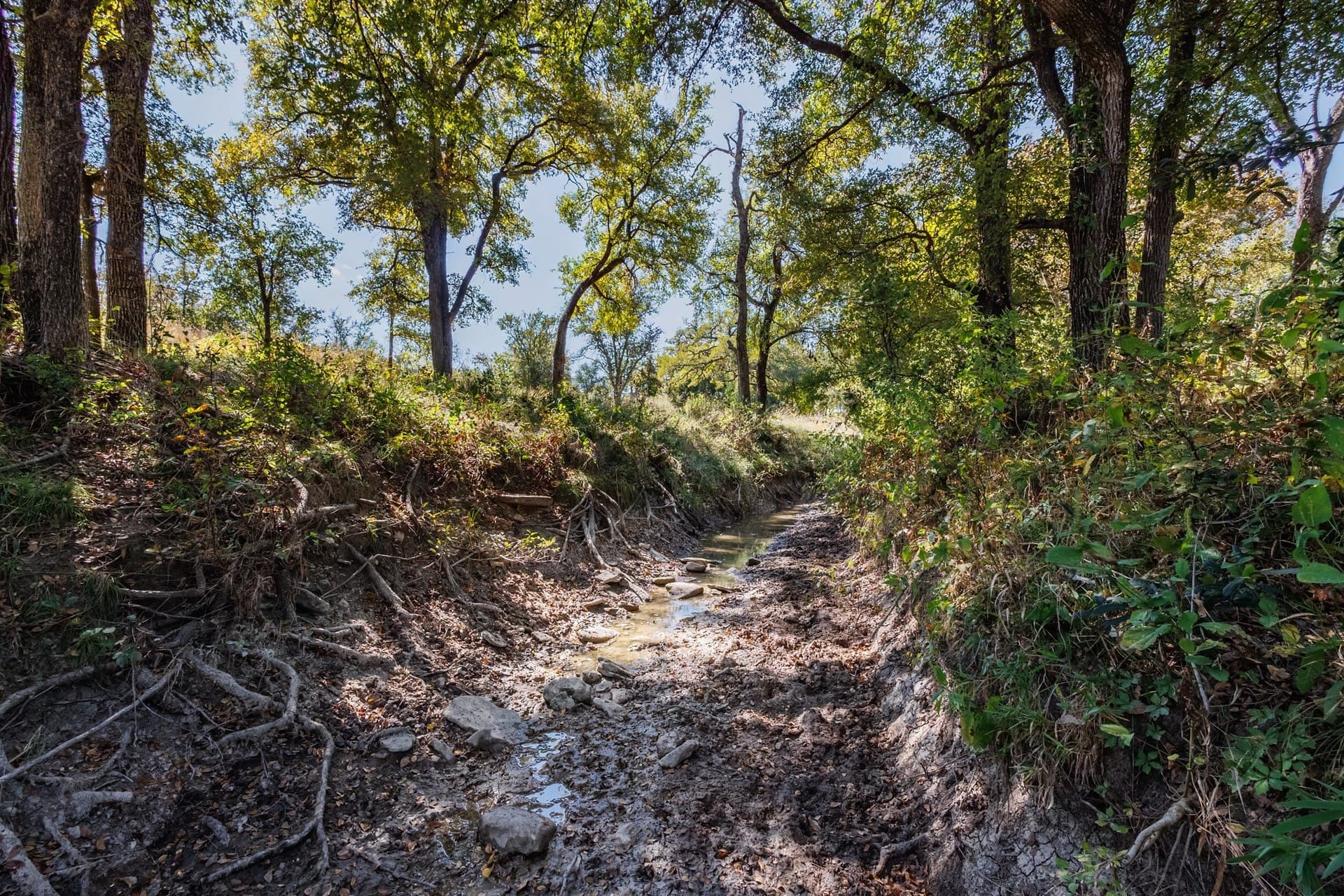 25.05 acres in Comanche County - photo 23