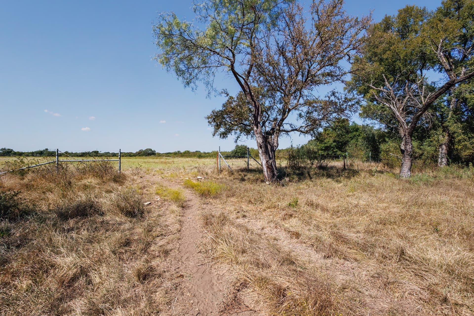 25.05 acres in Comanche County - photo 17