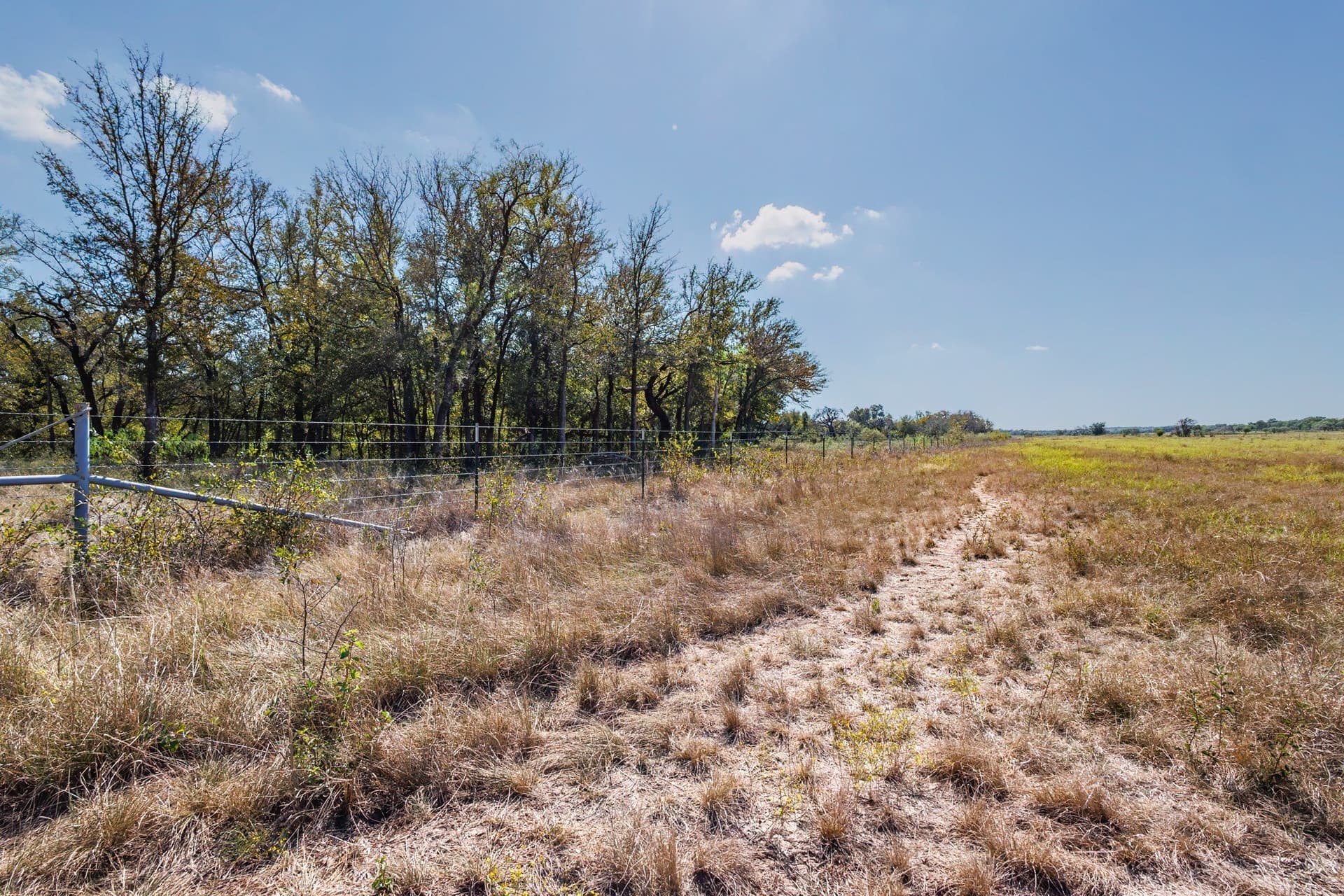 25.05 acres in Comanche County - photo 15