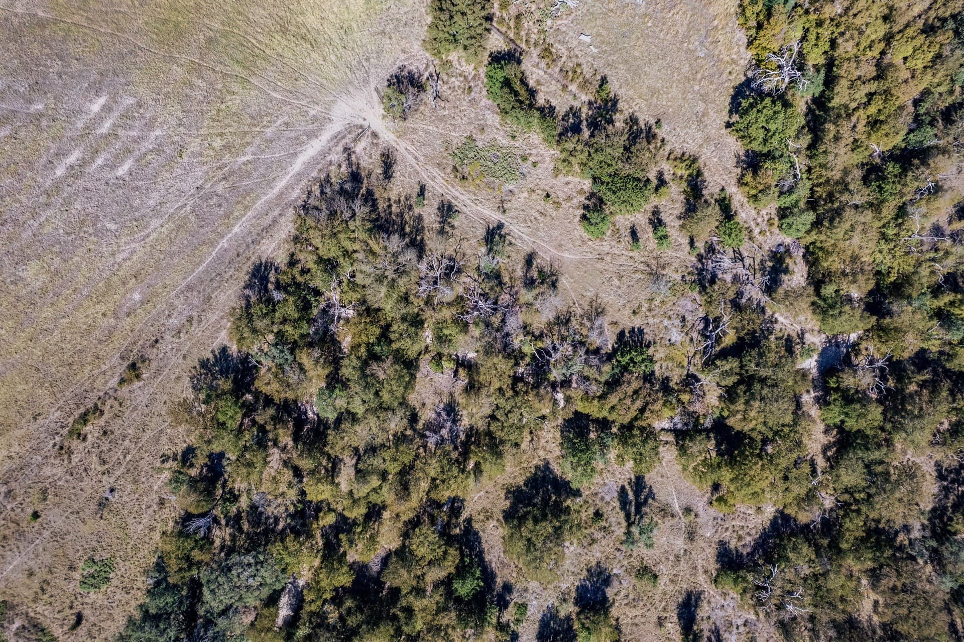 25.05 acres in Comanche County - photo 14