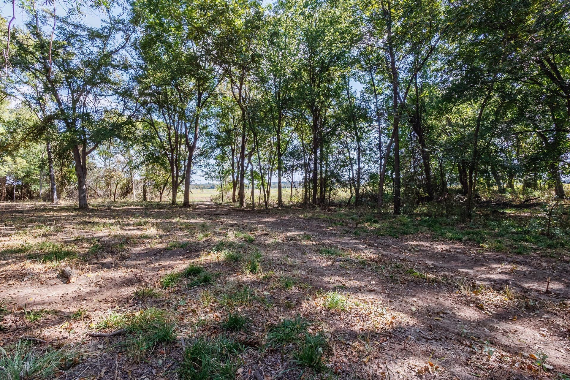 25.05 acres in Comanche County - photo 11