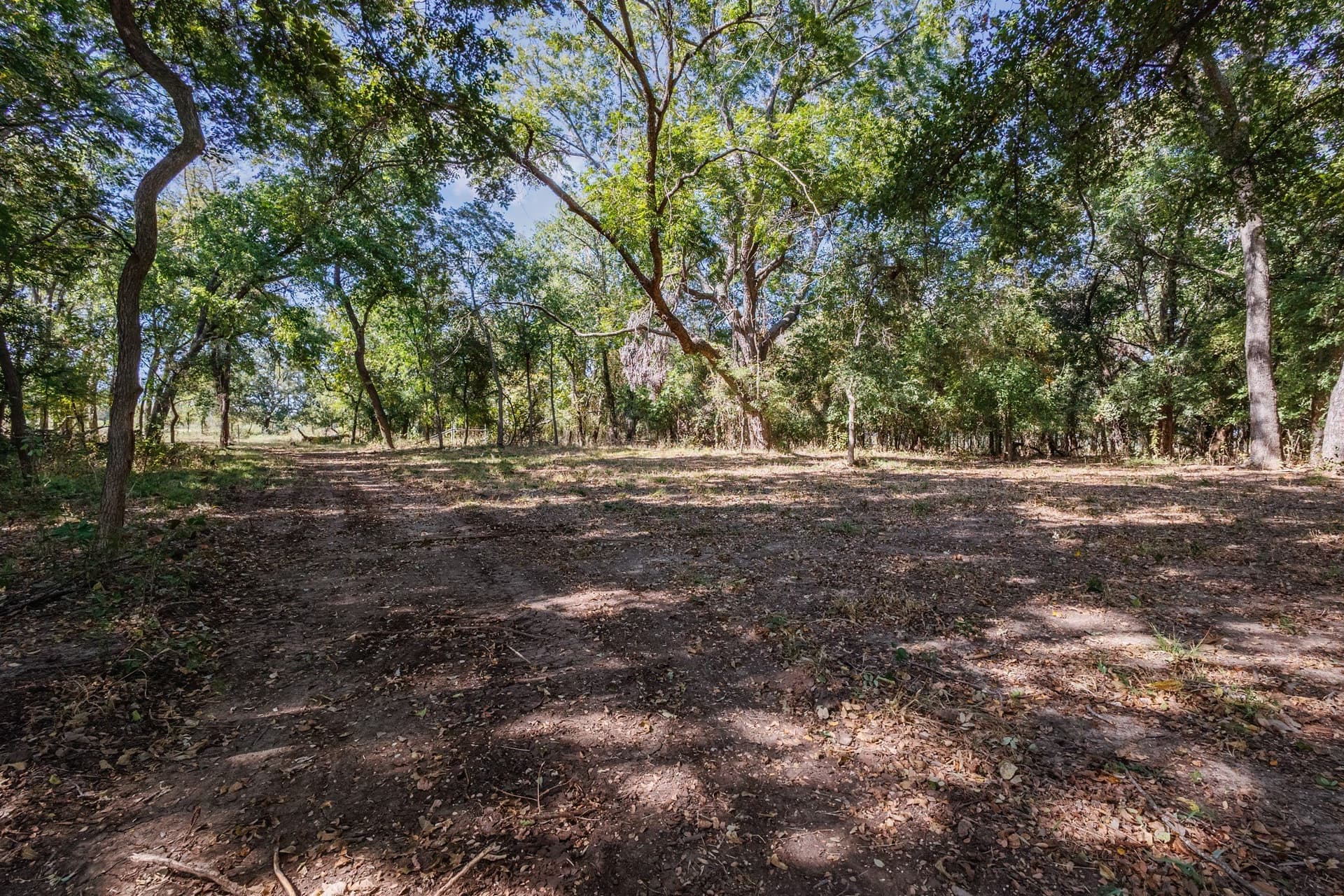 25.05 acres in Comanche County - photo 10