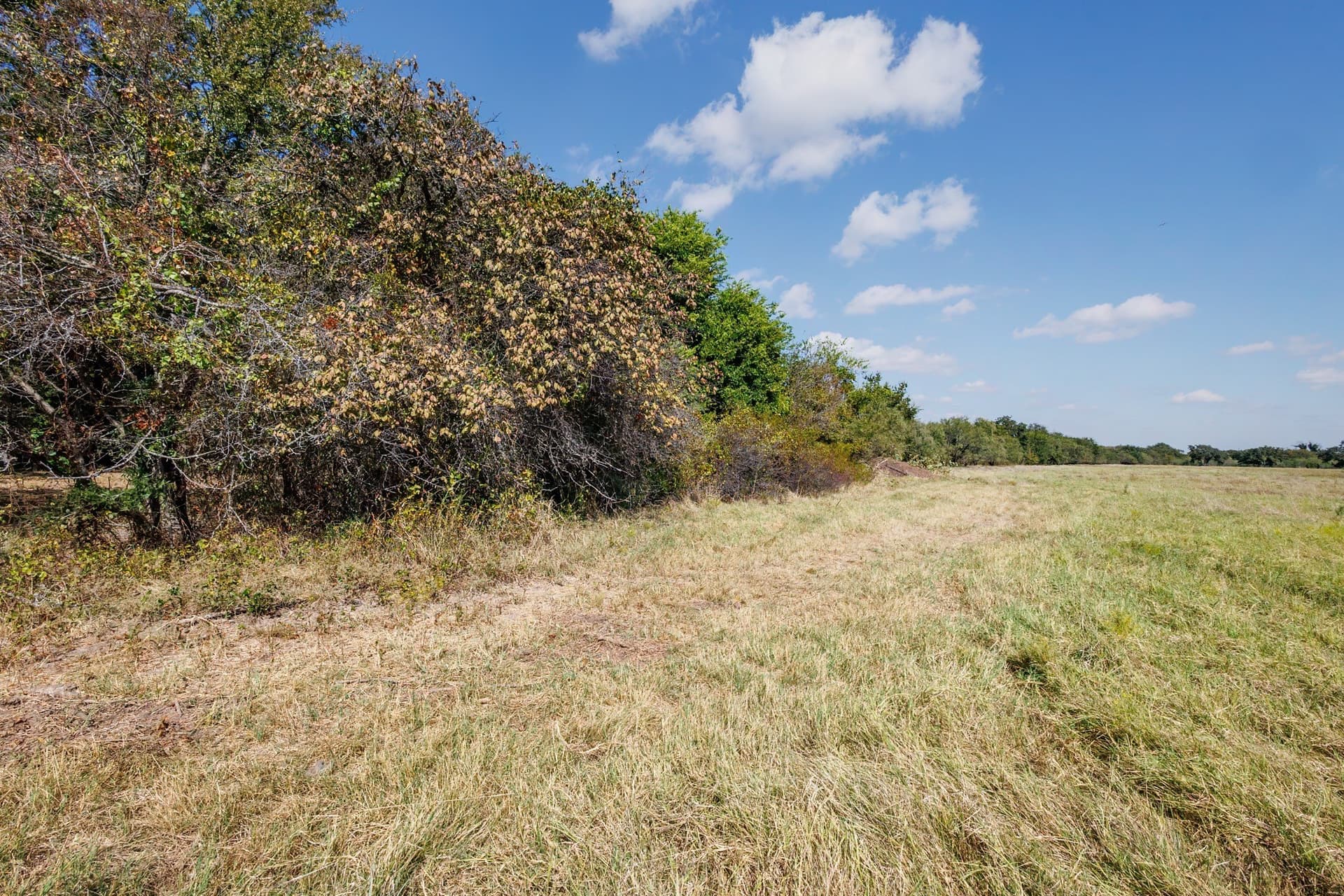 25.05 acres in Comanche County - photo 12