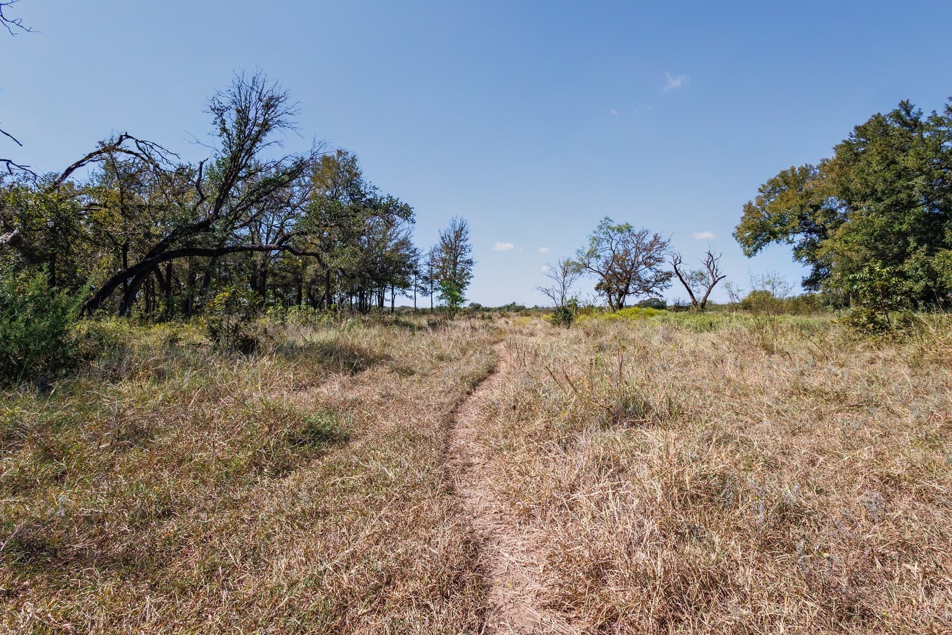 25.05 acres in Comanche County - photo 16