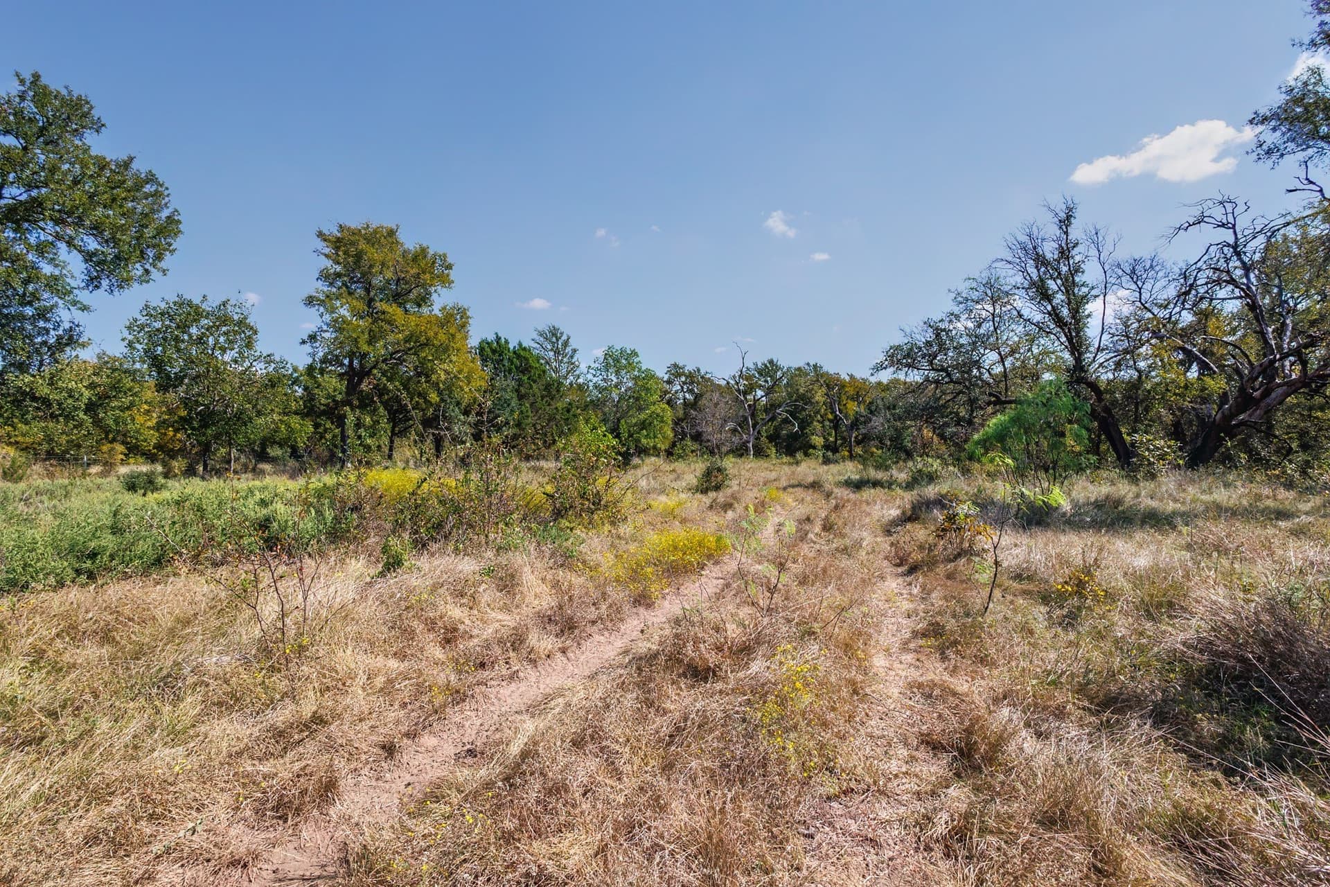 25.05 acres in Comanche County - photo 18