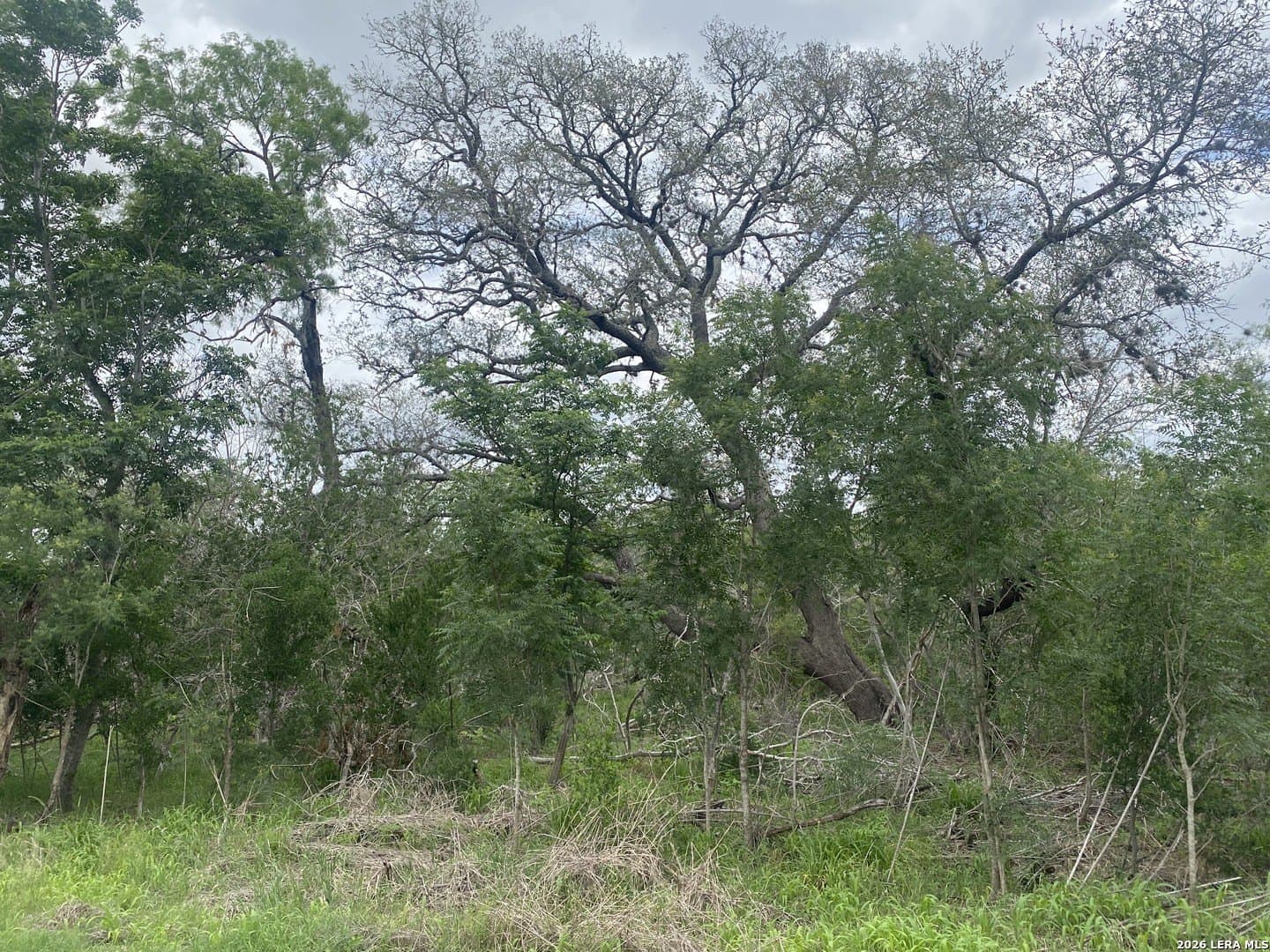 10.36 acres in Bexar County featured view