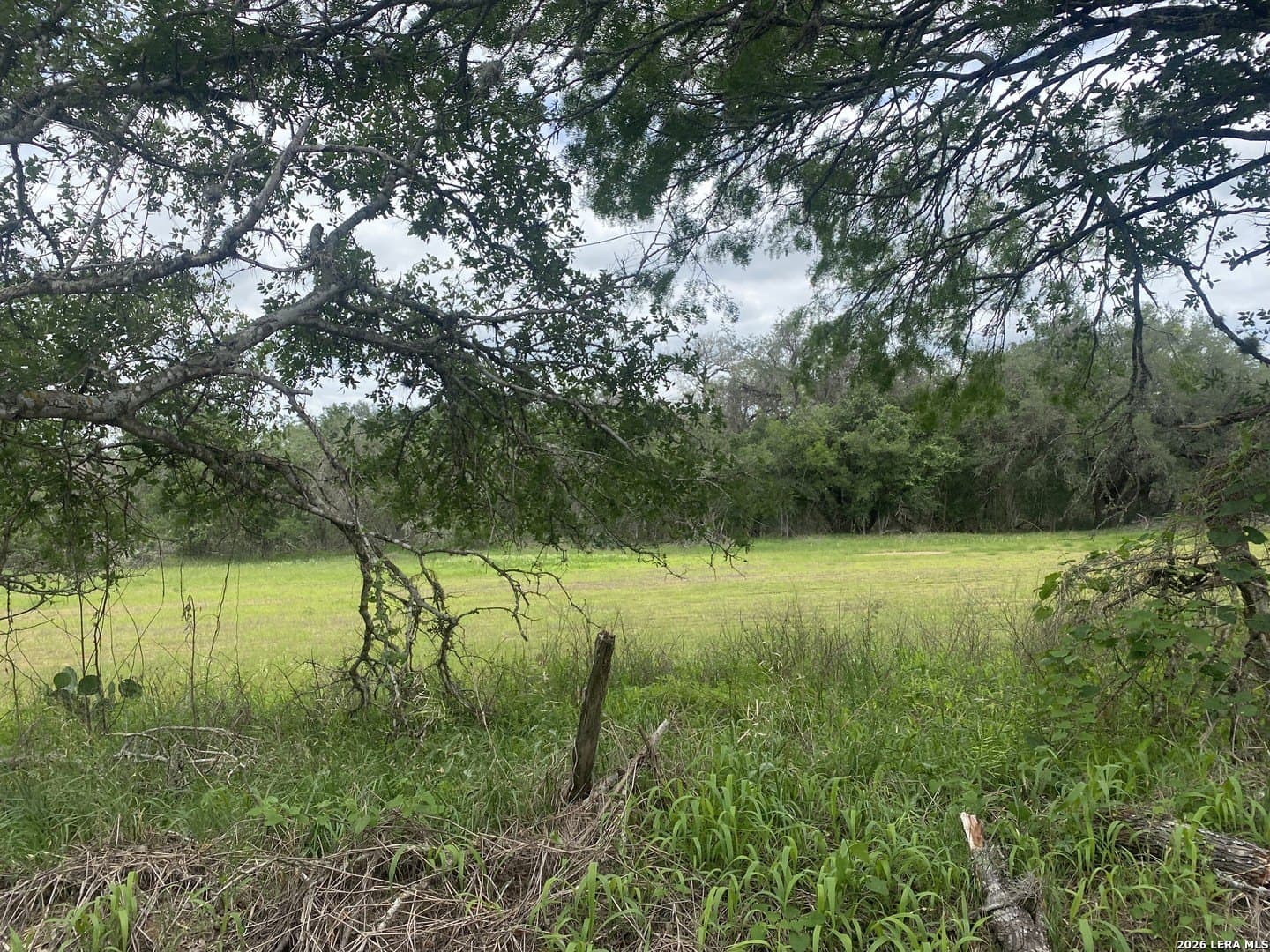 10.36 acres in Bexar County gallery image 3