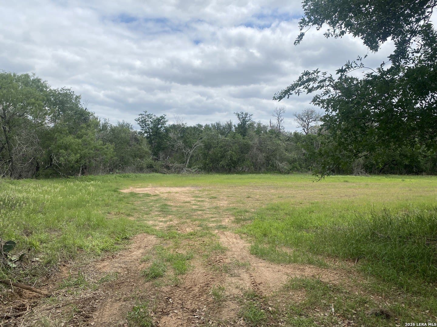 10.36 acres in Bexar County gallery image 4