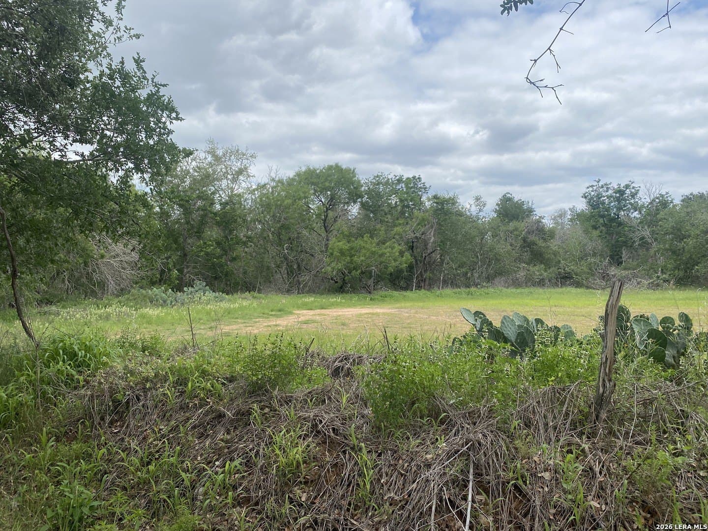10.36 acres in Bexar County gallery image 2