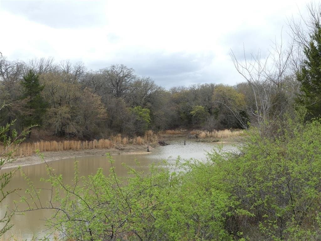 174.49 acres in Montague County featured view