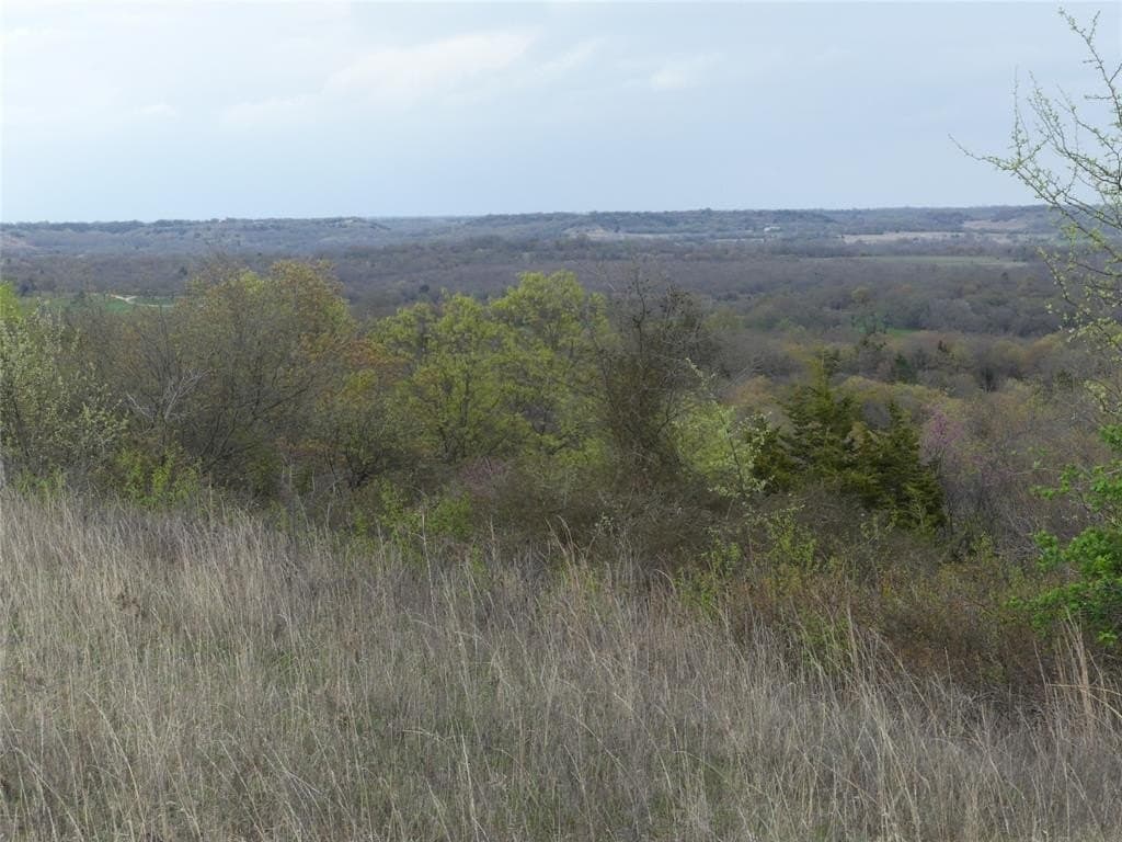 174.49 acres in Montague County