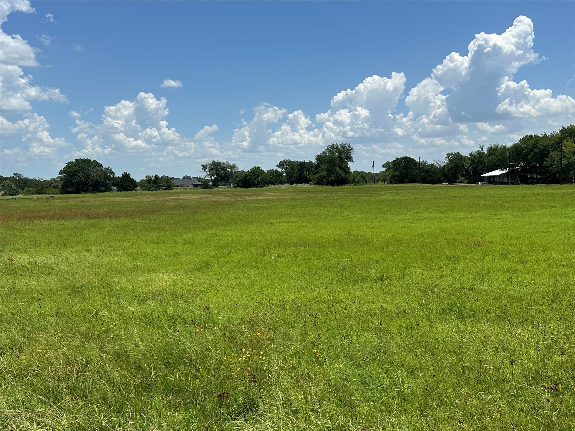 5 acres in Grayson County