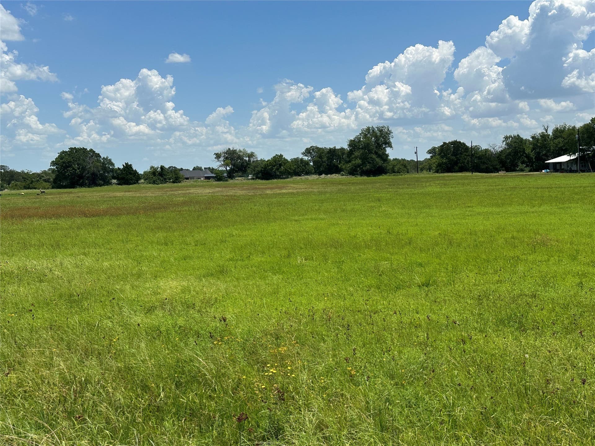 5 acres in Grayson County - photo 2