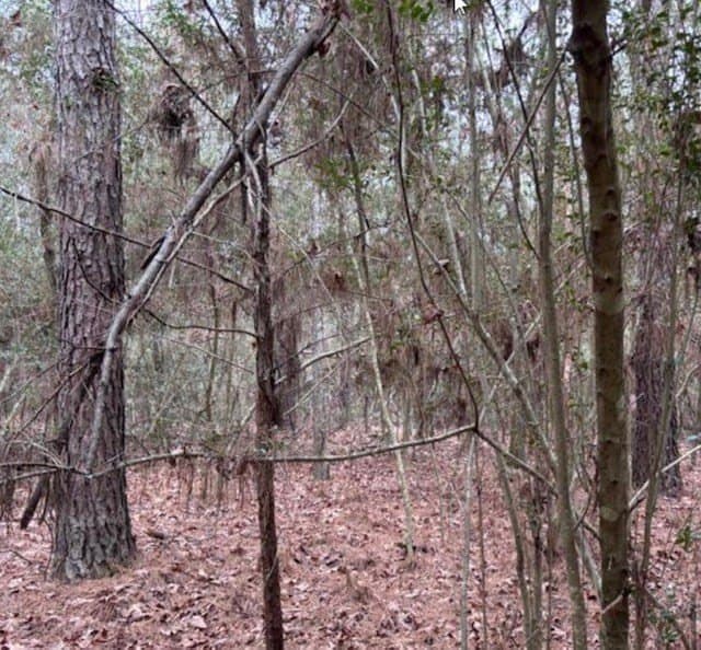 73.62 acres in Texas County gallery image 2