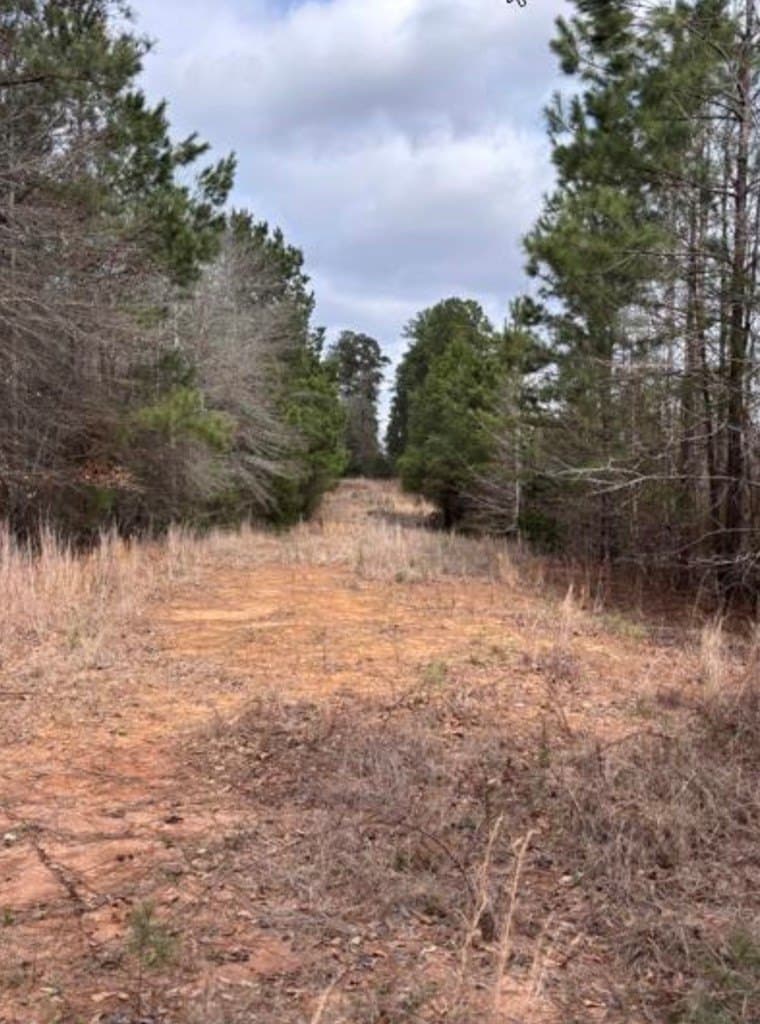 73.62 acres in Texas County gallery image 3