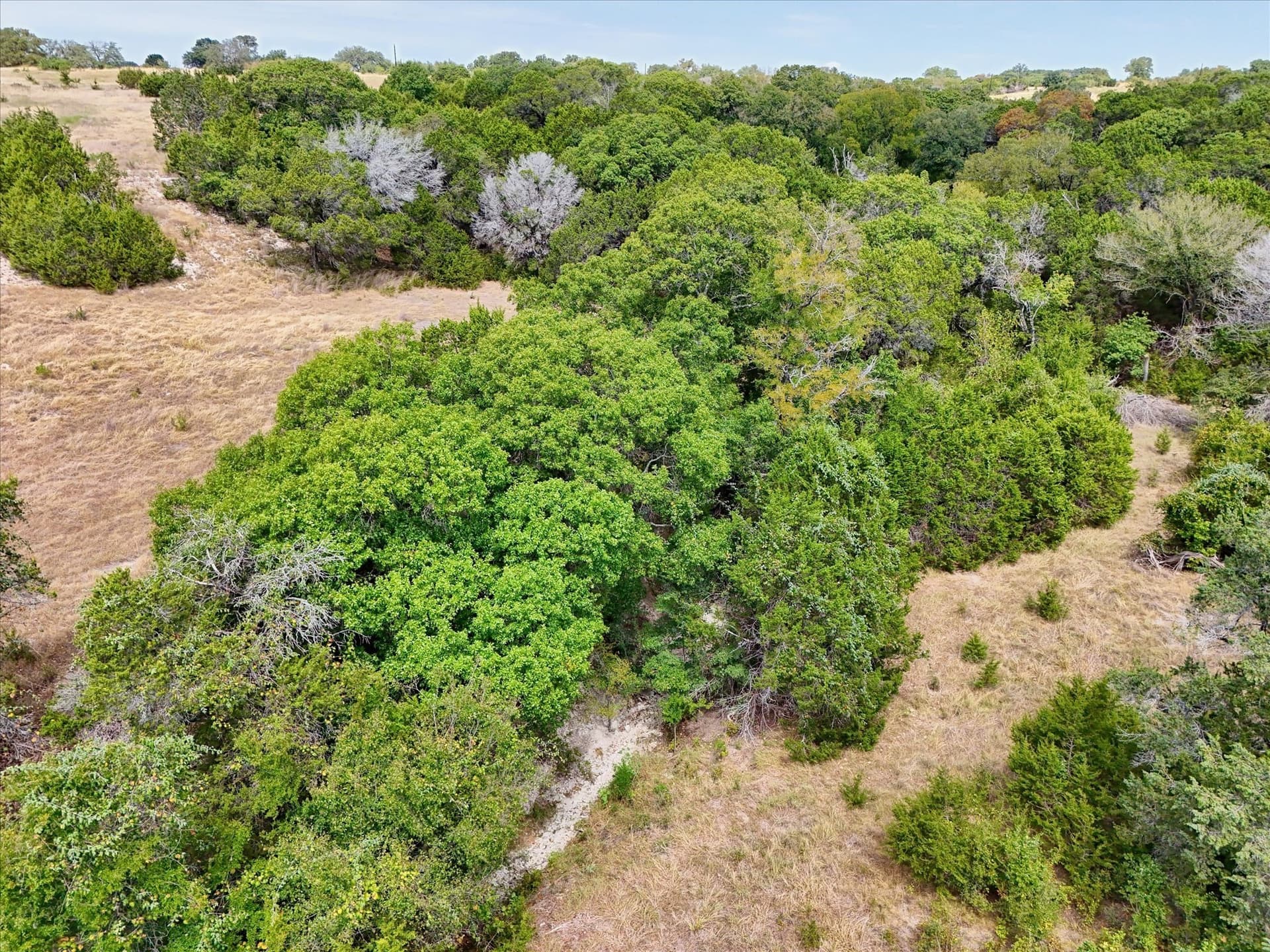 5.63 acres in Coryell County - photo 13