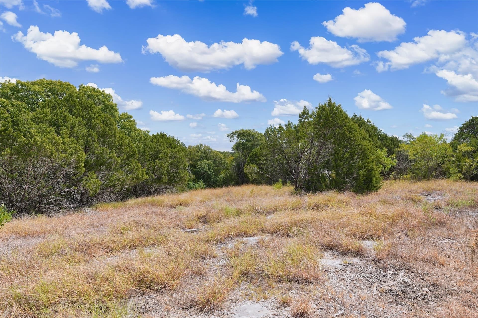 5.63 acres in Coryell County - photo 19