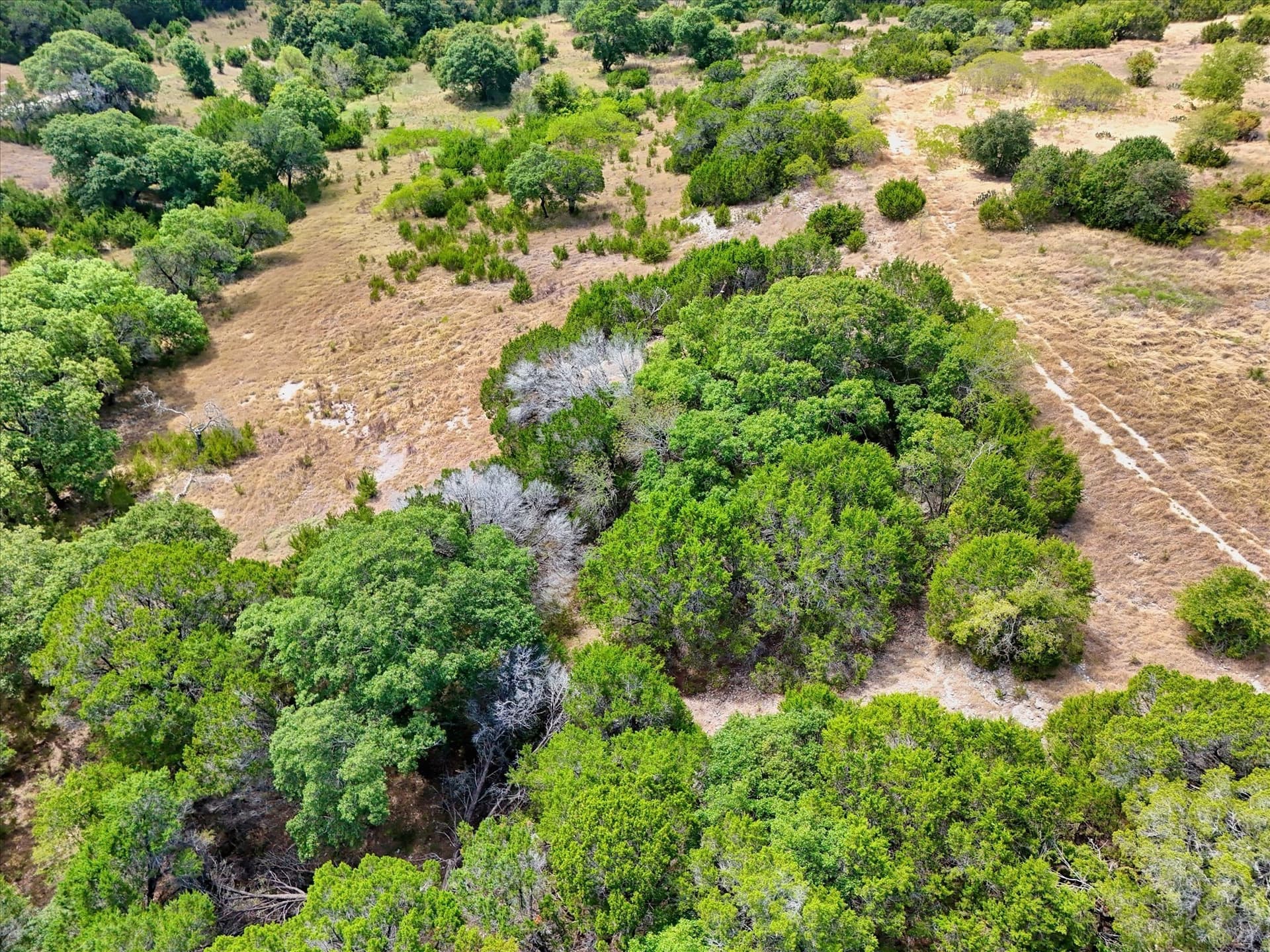 5.63 acres in Coryell County - photo 14