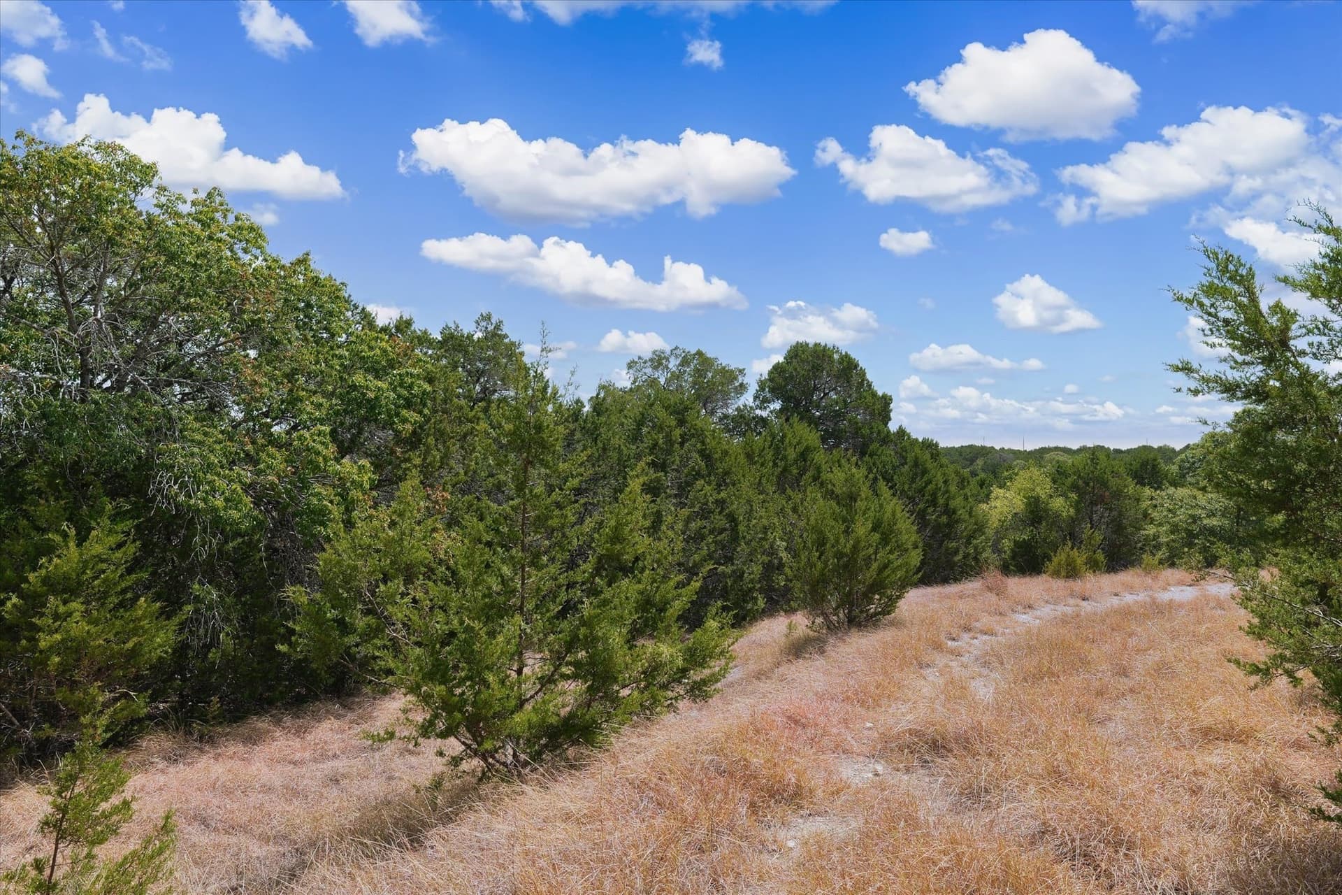 5.63 acres in Coryell County - photo 20