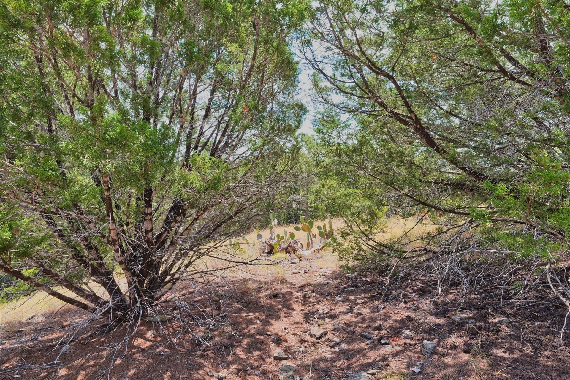5.63 acres in Coryell County - photo 2