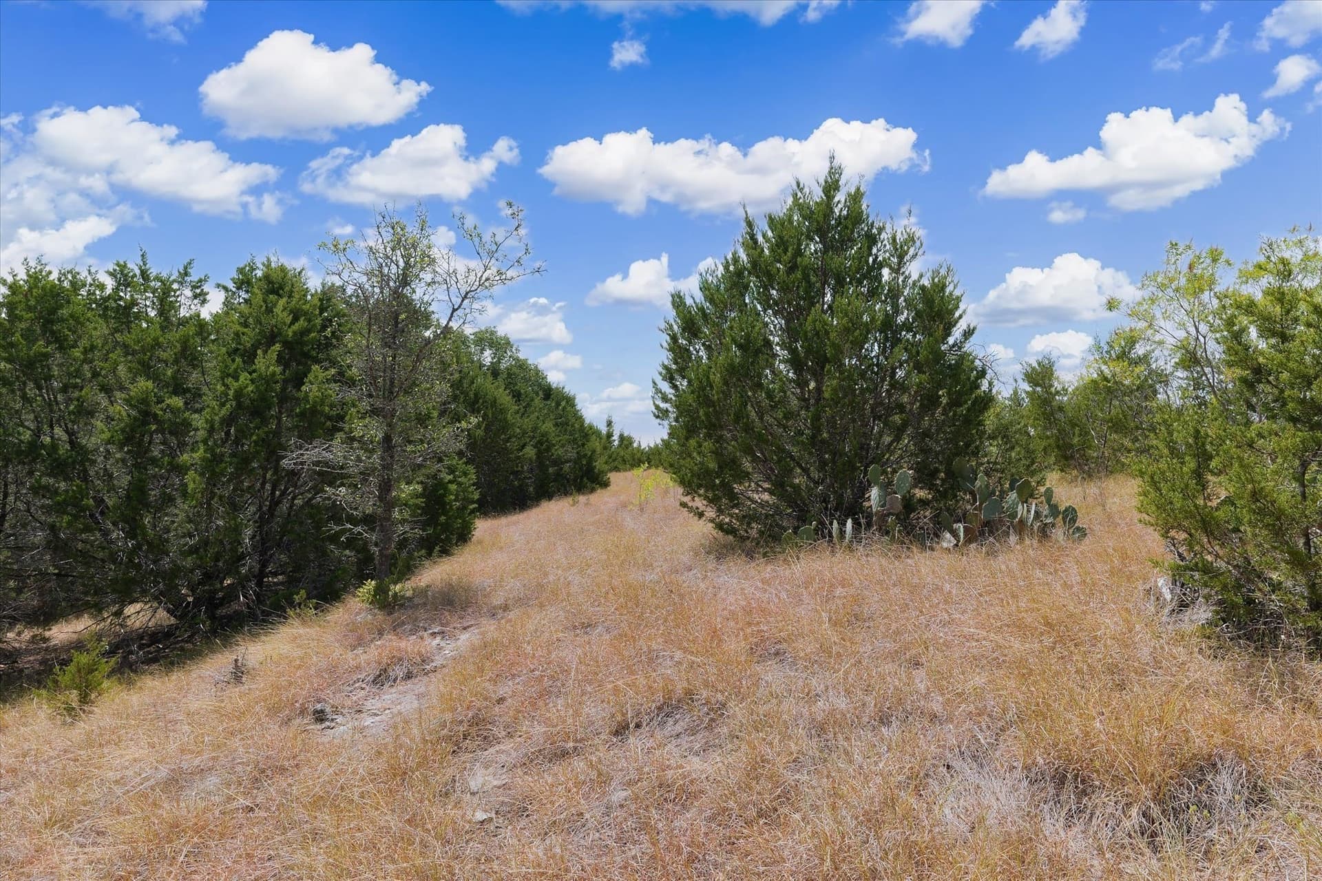 5.63 acres in Coryell County - photo 21