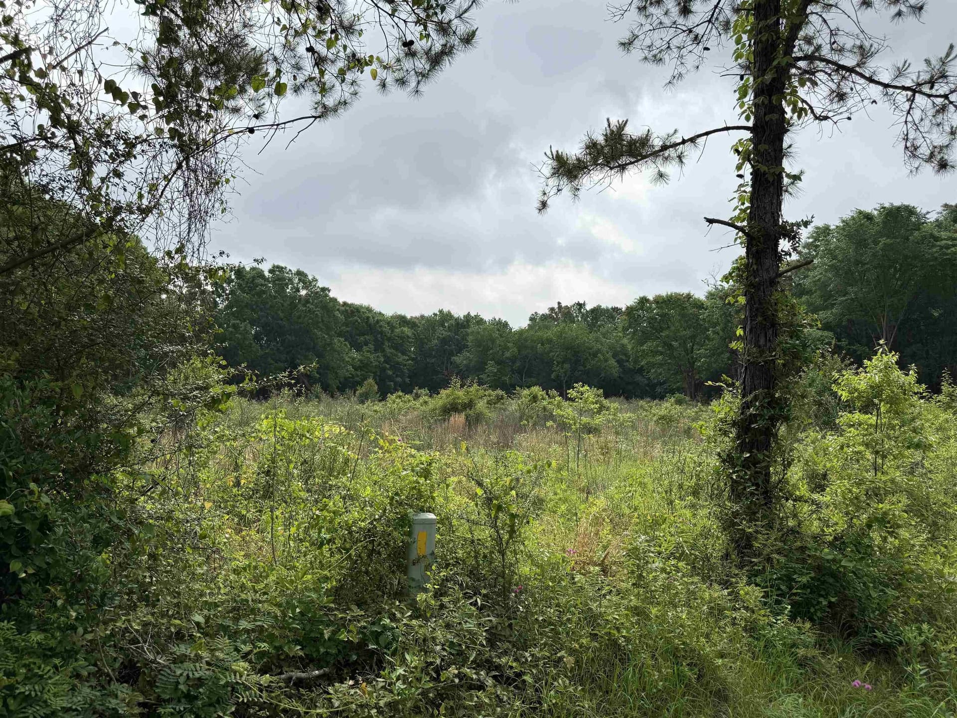 21.08 acres in Rusk County