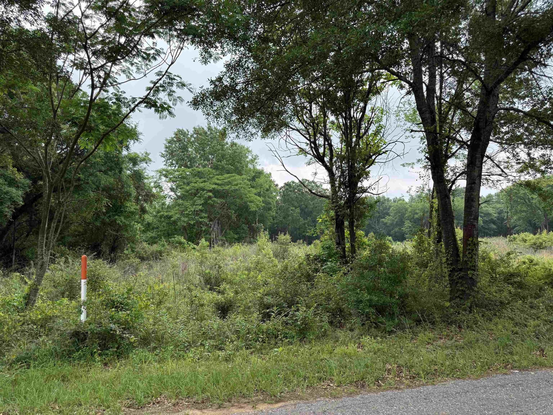 21.08 acres in Rusk County gallery image 3