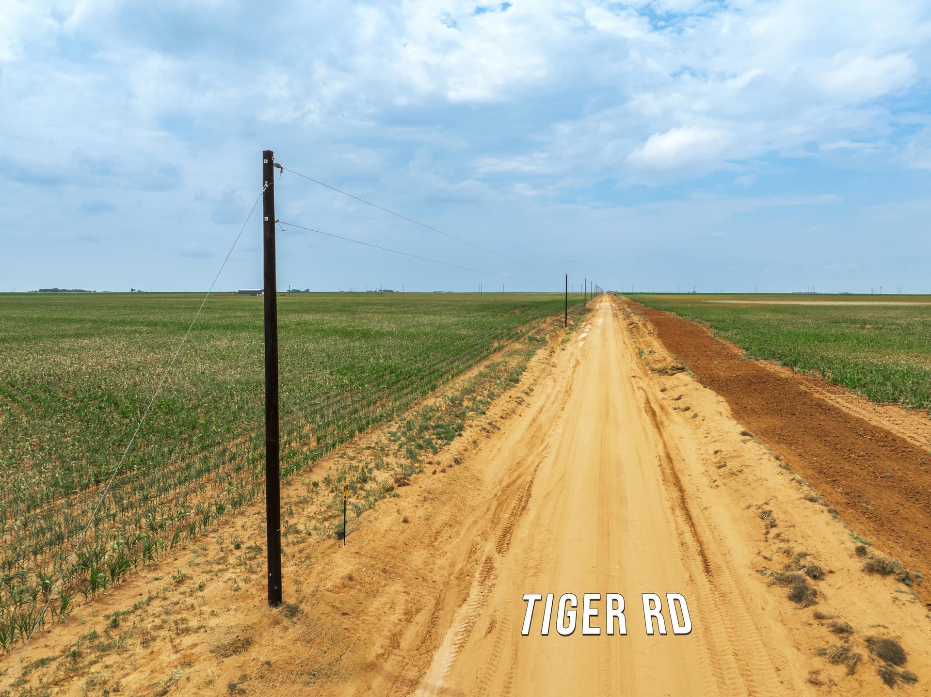 11.04 acres in Hockley County featured view
