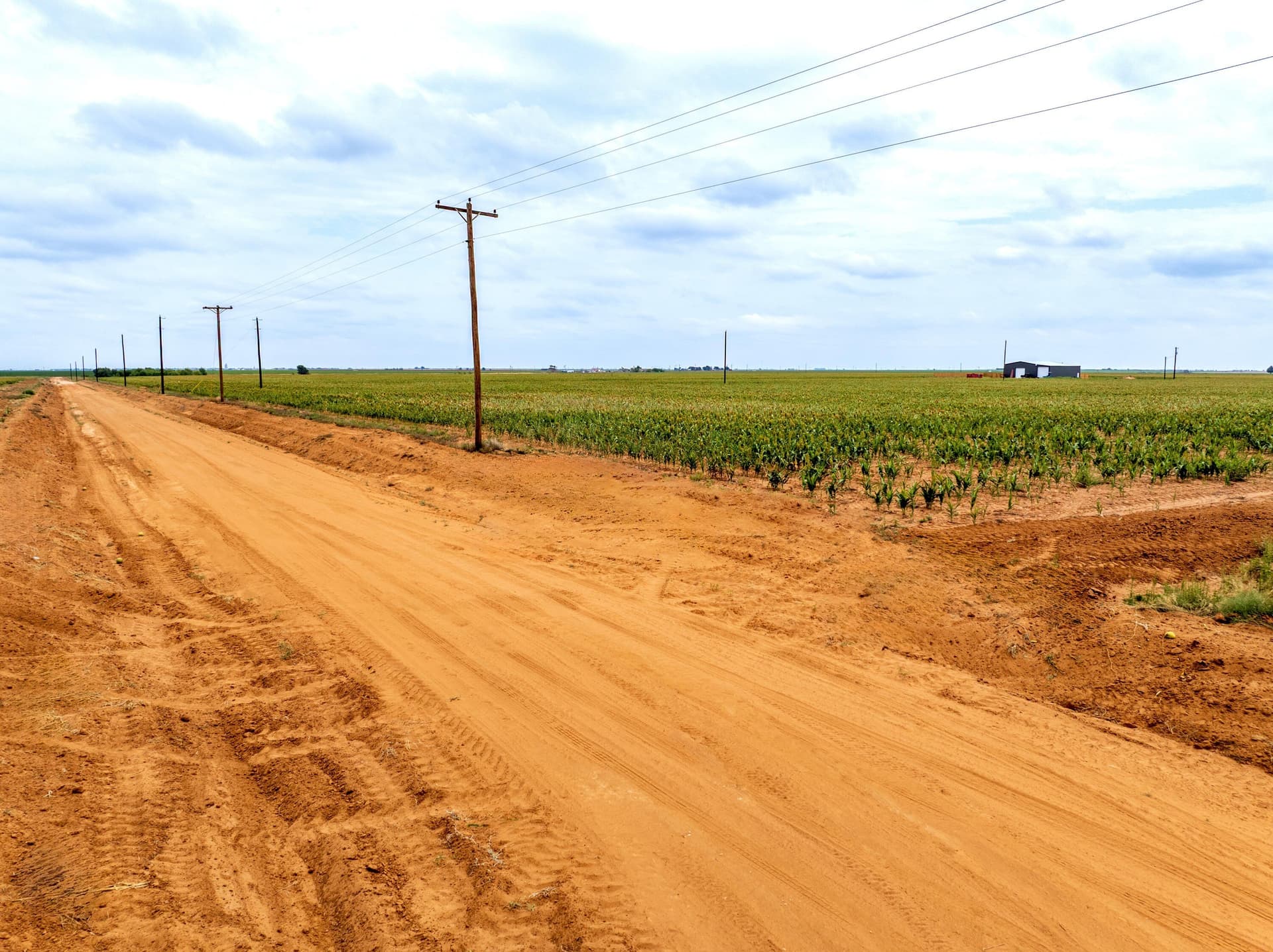 11.04 acres in Hockley County - photo 6