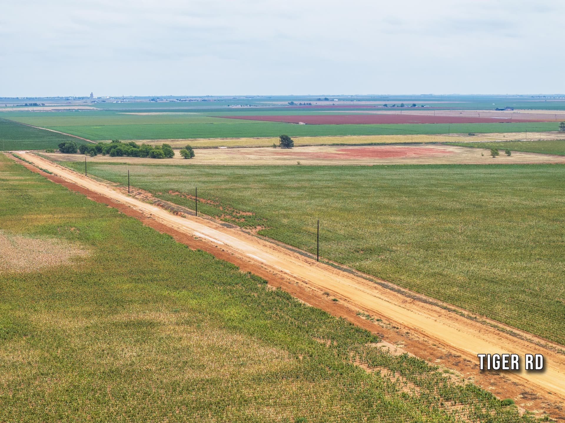 11.04 acres in Hockley County - photo 7