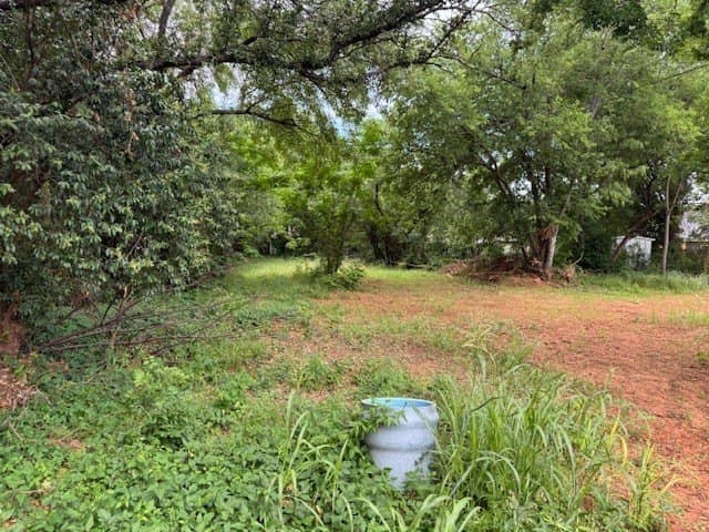 0.48 acres in Hood County - photo 2