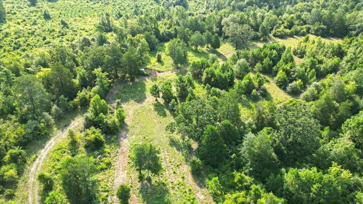 32 acres in Upshur County - photo 6