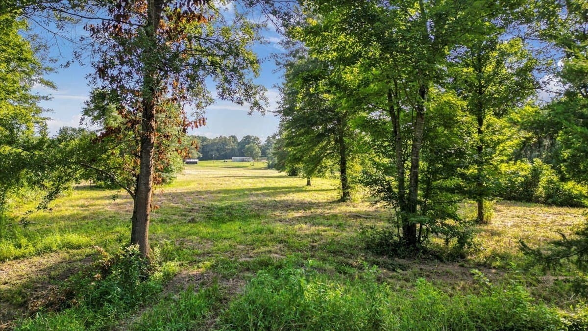 32 acres in Upshur County - photo 13