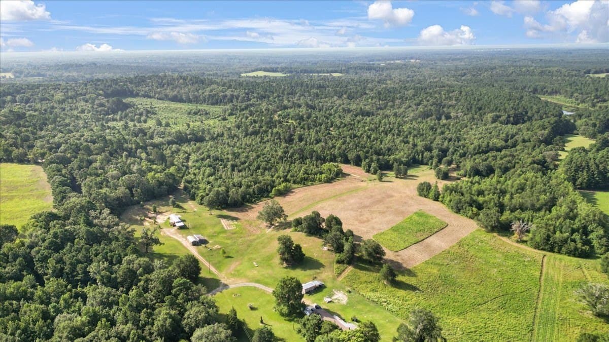 32 acres in Upshur County - photo 4